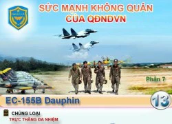 Infographic: Sức mạnh Không quân Nhân dân Việt Nam (7)