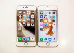 iPhone 6 và 6s đọ dáng