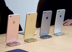 iPhone 6S Plus vàng hồng cháy hàng trong ngày đầu tiên