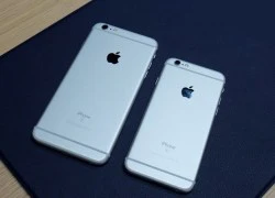 iPhone 6S và iPad Pro có dung lượng RAM bao nhiêu?