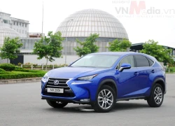 Lexus lên ngôi vương nhờ NX mới