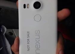 LG Nexus 5 mới lộ toàn bộ cấu hình