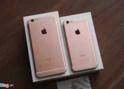 Loạn giá iPhone 6S, 6S Plus màu vàng hồng tại Việt Nam