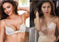 Lưu Hương Giang mượn hình ảnh Miranda Kerr đáp trả dư luận