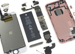 'Mổ xẻ' iPhone 6S: RAM 2 GB, tháo dỡ và sửa chữa dễ dàng