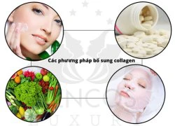 Ngăn chặn lão hóa bằng dưỡng chất collagen