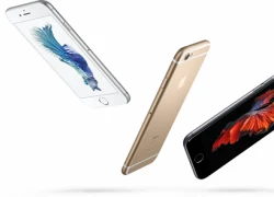 Nguyên nhân khiến iPhone 6S nặng hơn iPhone 6