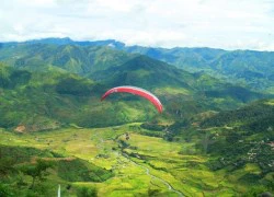 Những cánh dù lượn ngoạn mục trên sóng lúa vàng óng Lìm Mông