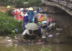 Những dòng sông kêu cứu