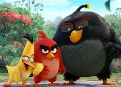 Phim về Angry Birds ra mắt trailer đầu tiên