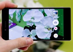 Sony giảm giá Xperia Z5, sẽ có thêm bản Z5 mới