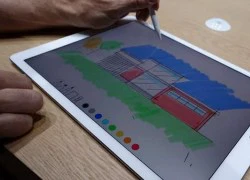 Tại sao Apple sản xuất Pencil cho iPad Pro dù bị Steve Jobs ghét?