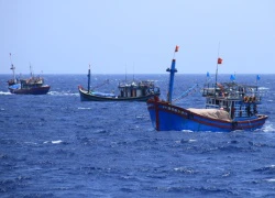 Tàu cá bốc cháy, 16 ngư dân gặp nạn