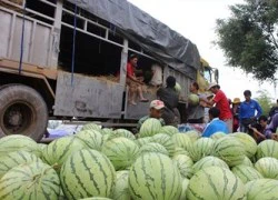 Tham gia chuỗi giá trị toàn cầu: Lối thoát cho nông sản Việt Nam