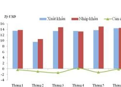 Tháng 8, xuất siêu 350 triệu USD: Mừng trước mắt, lo về dài