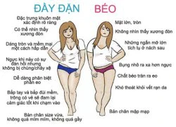 Tin vui: Chị em có thân hình đầy đặn không phải là béo