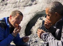 Tổng thống Obama ăn thức ăn thừa của gấu Alaska