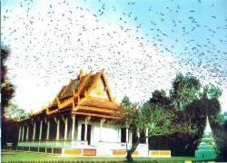 Tour 4 ngày khám phá vẻ đẹp của miền Tây