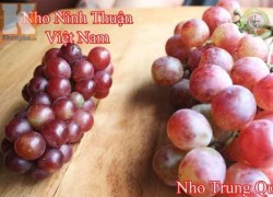 Tuyệt chiêu đơn giản nhận biết hoa quả Trung Quốc