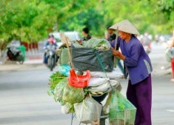 Xa những tảo tần