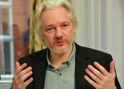 Anh từ chối để nhà sáng lập WikiLeaks đi chữa bệnh