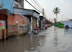 Cả trăm hộ dân Sài Gòn bị nước thối bủa vây cả tháng