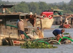 Cát tặc lộng hành, sông Đồng Nai sạt lở nghiêm trọng