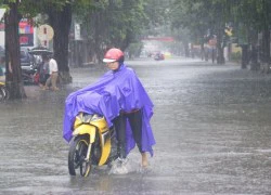 [Chùm ảnh] TP.Huế &#039;lóp ngóp&#039; trong nước mưa sáng 14.10