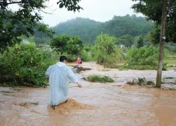 Đà Lạt lại ngập nặng sau trận mưa lớn