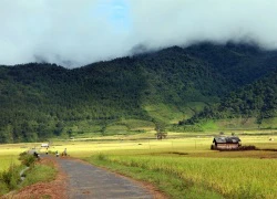 Đà Lạt thu nhỏ ở vùng Tây Bắc