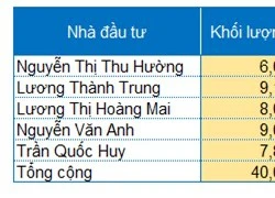 Đấu giá cổ phần ABBank: 5 nhà đầu tư cá nhân mua 40 triệu cp