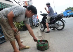 "Đinh tặc" và nửa tỉ đồng