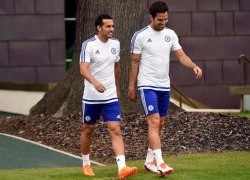 Fabregas bị treo bằng lái xe 6 tháng