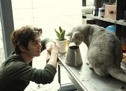 Yoo Seung Ho trở lại màn ảnh cùng... mèo