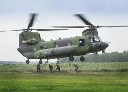 Hàn Quốc cân nhắc nâng cấp phi đội Boeing Ch-47D Chinook