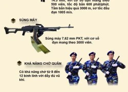 Infographic: Sức mạnh dàn "taxi chiến trường" của Việt Nam (2)