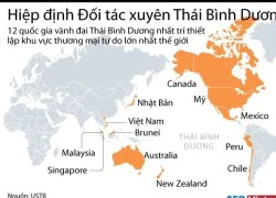 [Infographics] Hiệp định thương mại tự do lớn nhất thế giới