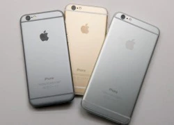 iPhone 6 và 5S bất ngờ hút khách nhờ iPhone 6S