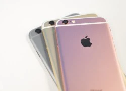 iPhone 6S bản 64 GB loạn giá tại Việt Nam