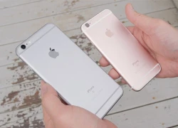 iPhone 6s được ưa chuộng gấp 4 lần iPhone 6s Plus