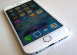 iPhone 7 có thể dùng tấm nền OLED từ Samsung