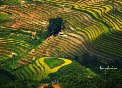 Lịch trình du ngoạn Hà Giang cho từng phương tiện