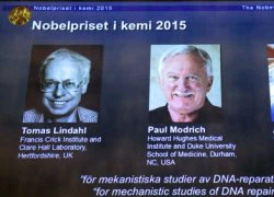 Lộ diện người giành giải Nobel Hóa học 2015