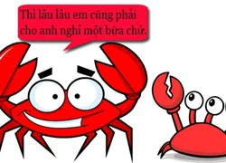 Lý do cua đực bò thẳng