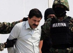 Mexico bắt nghi phạm dàn xếp vụ vượt ngục của trùm ma túy El Chapo