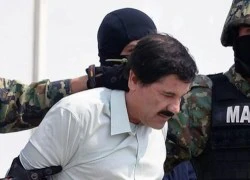 Mexico bắt nhóm chủ mưu vụ vượt ngục của trùm ma tuý El Chapo