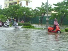 Mưa như trút, đường phố Huế thành sông