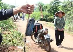 Nguyên nhân 2 thanh niên nghi trộm chó tử vong