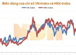 Nhận định thị trường ngày 21/10: "Tiếp tục điều chỉnh"