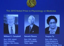 Nobel Y học 2015 cho thuốc chống sốt rét, giun gây mù mắt